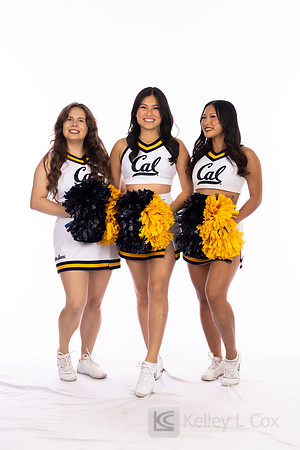 Spirit: California Golden Bears Cheer