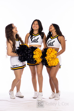 Spirit: California Golden Bears Cheer
