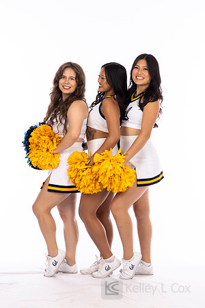Spirit: California Golden Bears Cheer