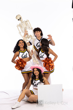 Spirit: California Golden Bears Cheer