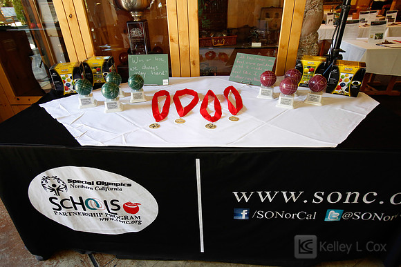 SONC: Bocce Tournament