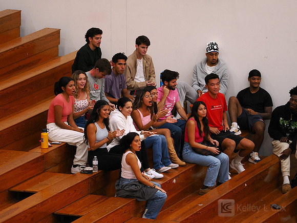Fans