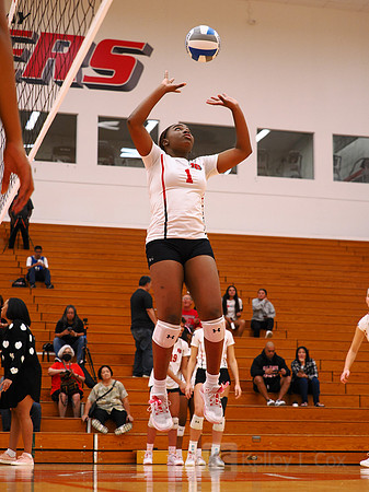 Trinity Cox (1)