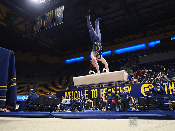 Men’s Gymnastics: California Golden Bears vs Stanford Cardinal