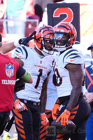 NFL: Cincinnati Bengals at San Francisco 49ers