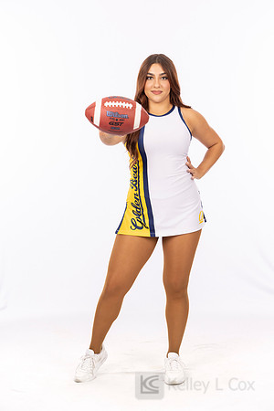 Spirit: California Golden Bears Dance