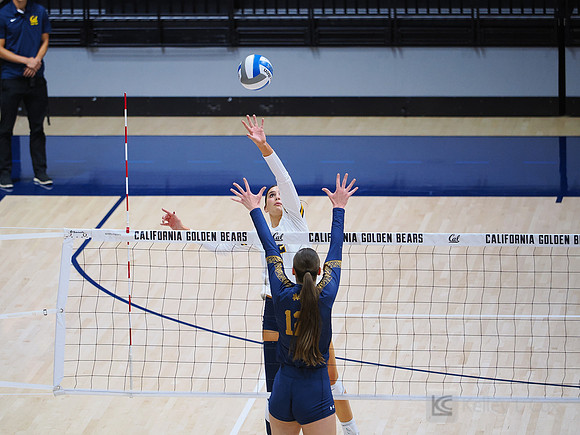 Volleyball: California Golden Bears vs Notre Dame Fighting Irish