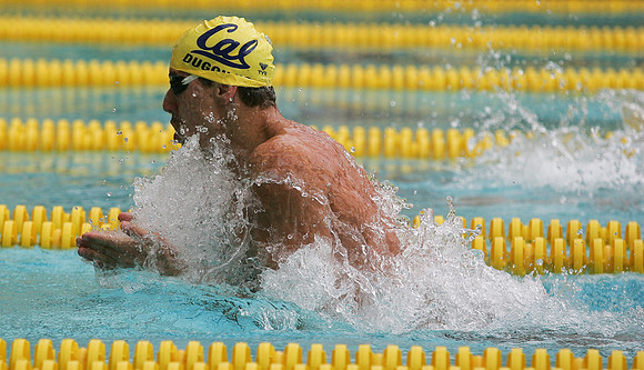 Cal Men's Swimming and Diving vs Stanford