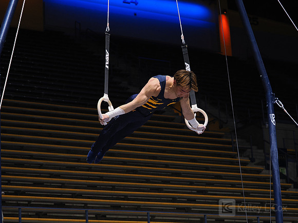 Men’s Gymnastics: California Golden Bears vs Stanford Cardinal