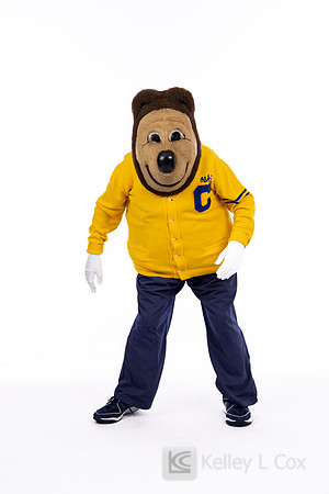 Oski