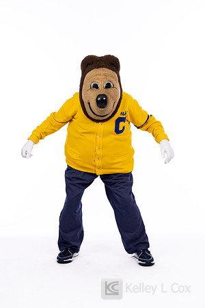 Oski
