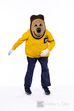 Oski