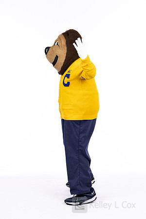 Oski