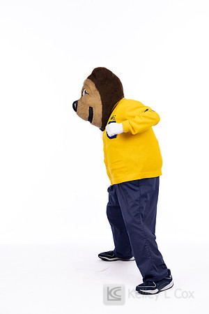 Oski