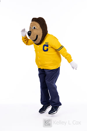 Oski