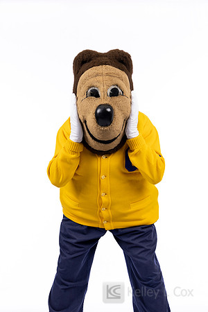 Oski