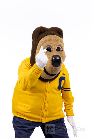 Oski