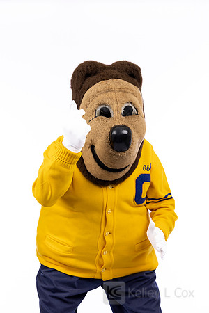 Oski