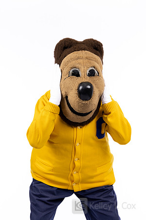 Oski
