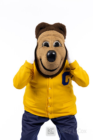 Oski