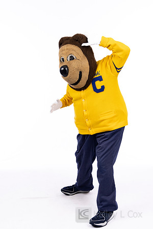 Oski
