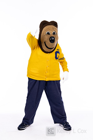 Oski