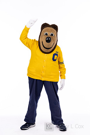 Oski