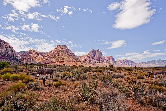 Red Rock Canyon