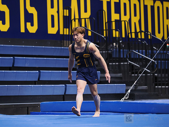 Men’s Gymnastics: California Golden Bears vs Stanford Cardinal