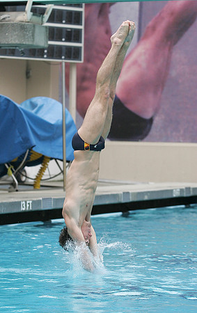 Cal Men's Swimming and Diving vs Stanford
