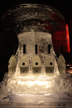 Remy Matin V