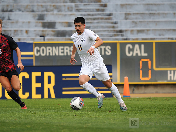 Adrian Guzman (11)