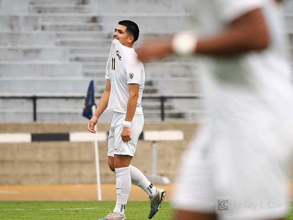 Adrian Guzman (11)