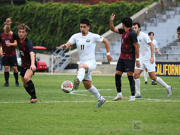 Adrian Guzman (11)