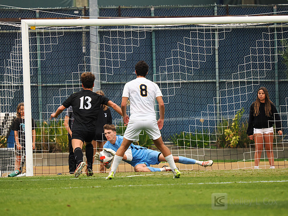 Connor Lambe (24)