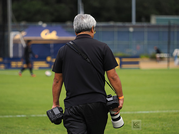 Darren Yamashita