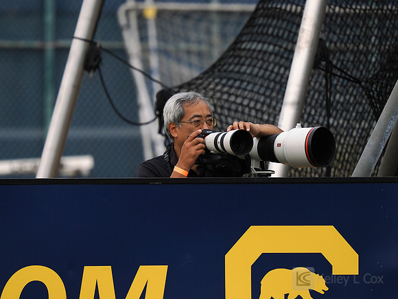 Darren Yamashita