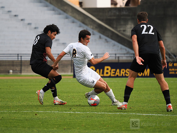 Juan Martinez (8)