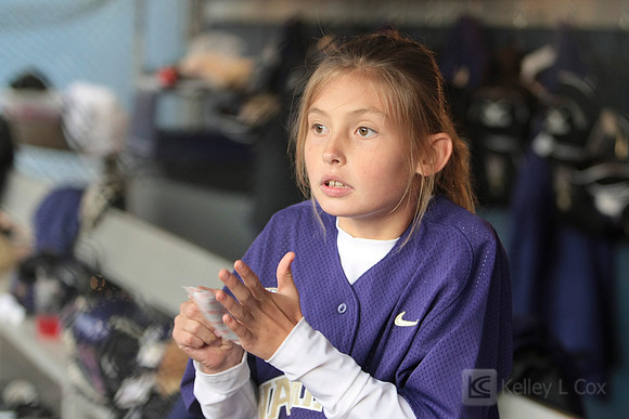 Softball: Cal vs Washington