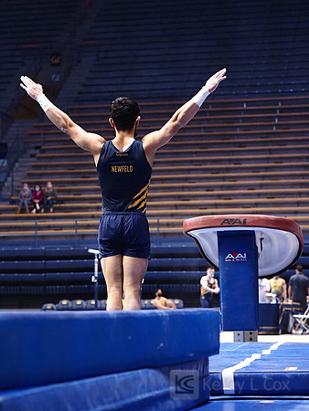 Noah Newfeld