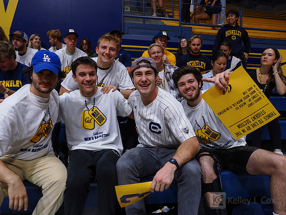 Fans