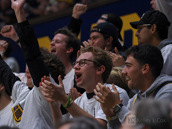 Fans