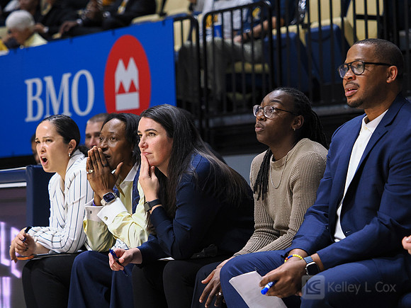 Coaches