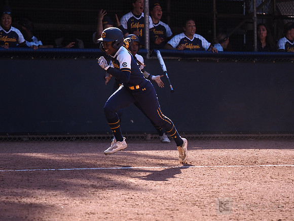 Amani Bradley (1)