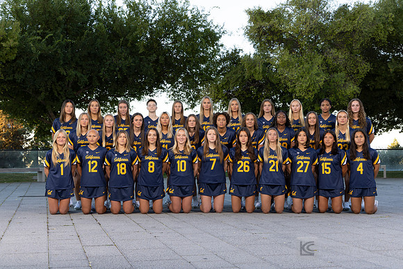 Team