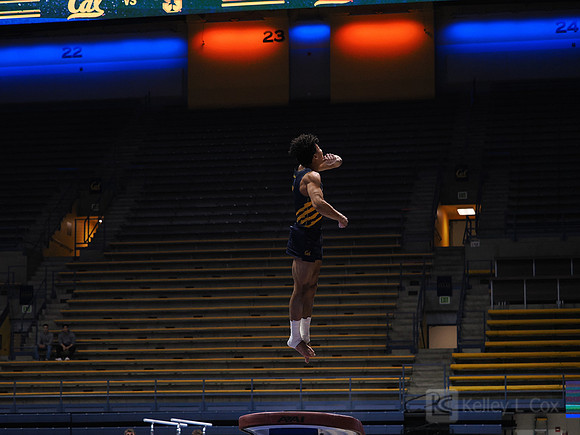 Men’s Gymnastics: California Golden Bears vs Stanford Cardinal