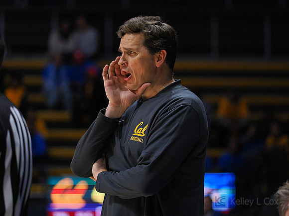 Mark Madsen