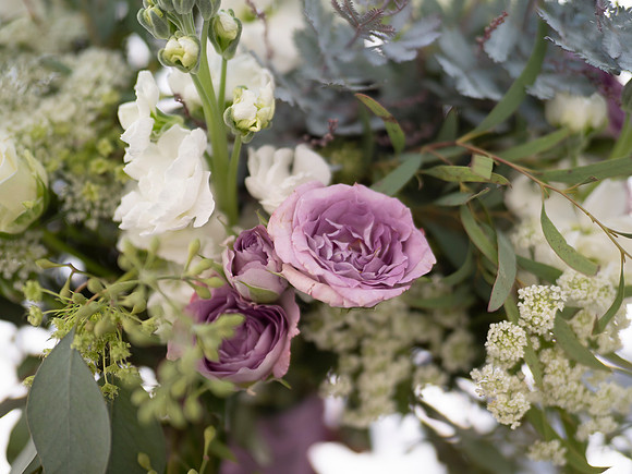 Wedding: Caroline Acosta and Greg Mescall