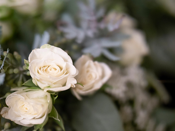 Wedding: Caroline Acosta and Greg Mescall