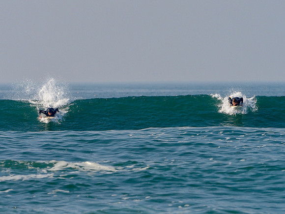 Surfing: Ocean Beach